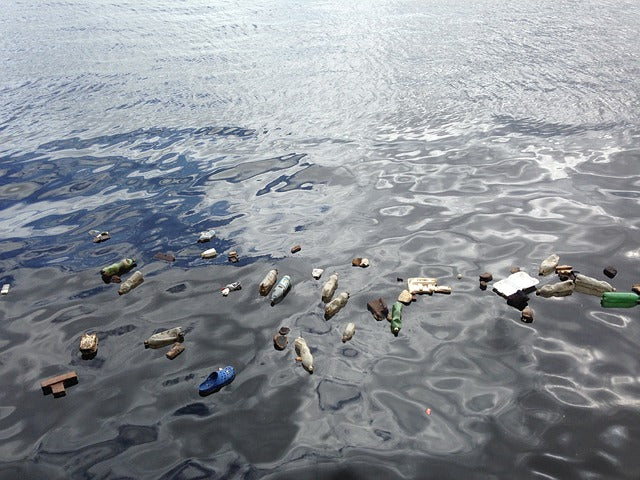 7 simple ways YOU can help reduce The Deadly Impact of Plastic Pollution.