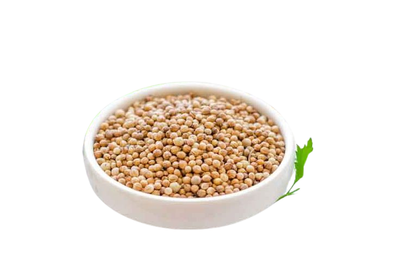 Coriander