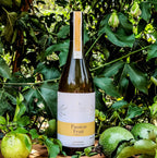 Fermented Fruit Juice