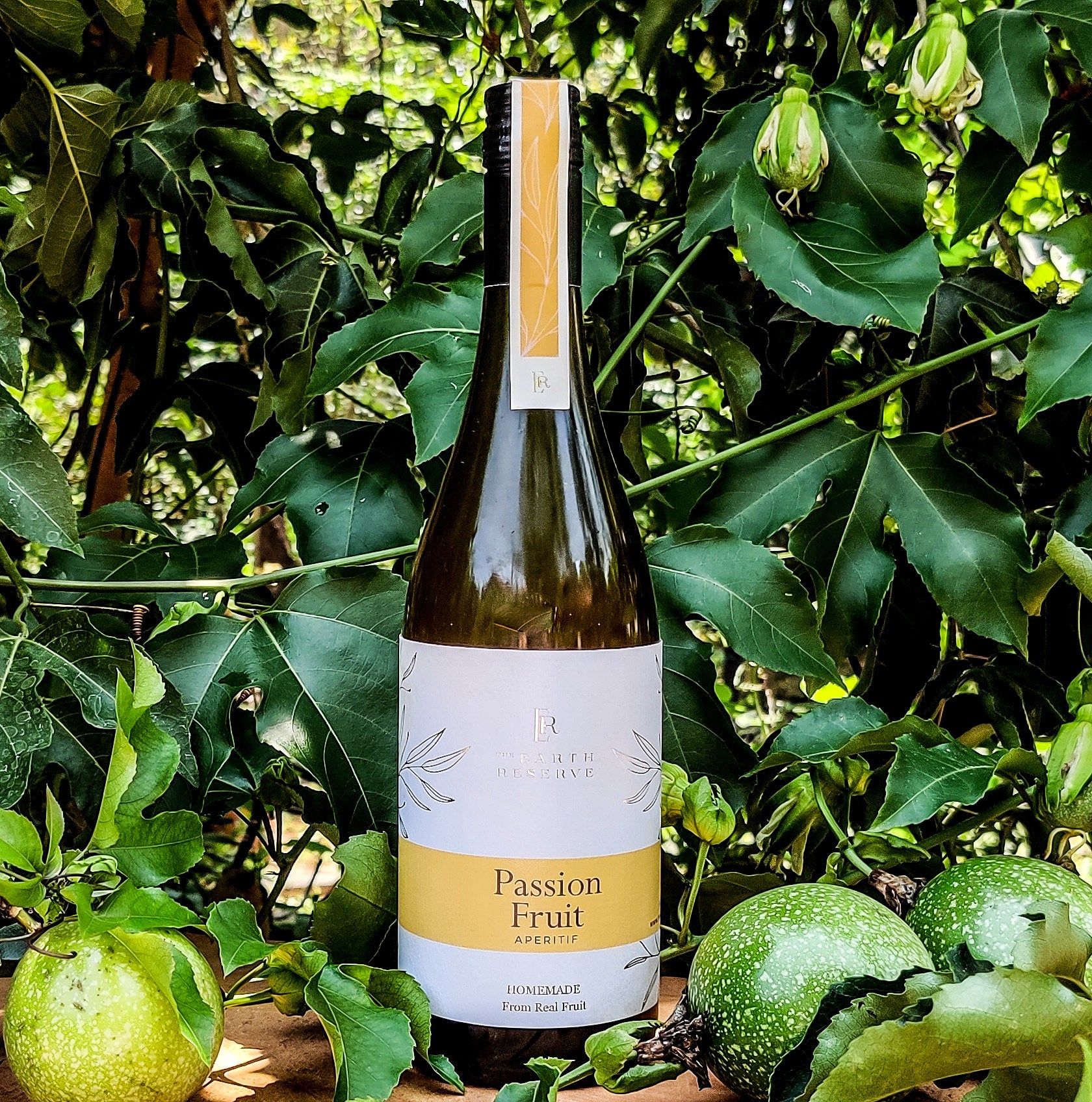 Fermented Fruit Juice