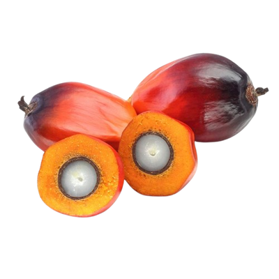 Palm Oil