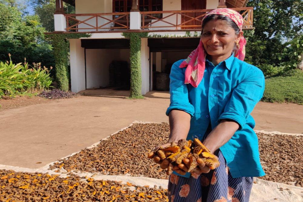 Pure organic turmeric roots naturally processed for eco-conscious wellness by The Earth Reserve