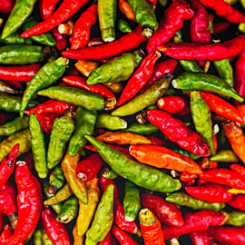 buy chilli online