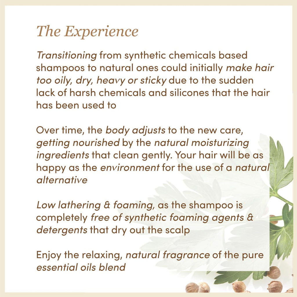 Spices Mix | Earthy Blends Shampoo │ Cocoa Butter Enriched | Free From Harsh Chemicals