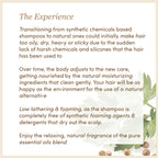 Spices Mix | Earthy Blends Shampoo │ Cocoa Butter Enriched | Free From Harsh Chemicals