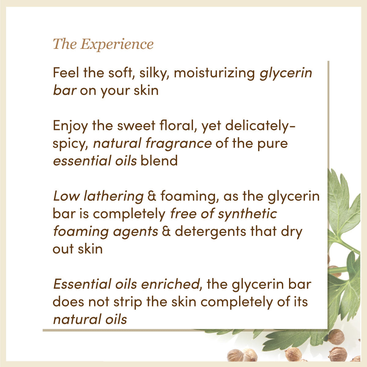 Spices Mix | Earthy Blends Natural Glycerin Soap | SLS & Paraben Free │Glycerin Rich