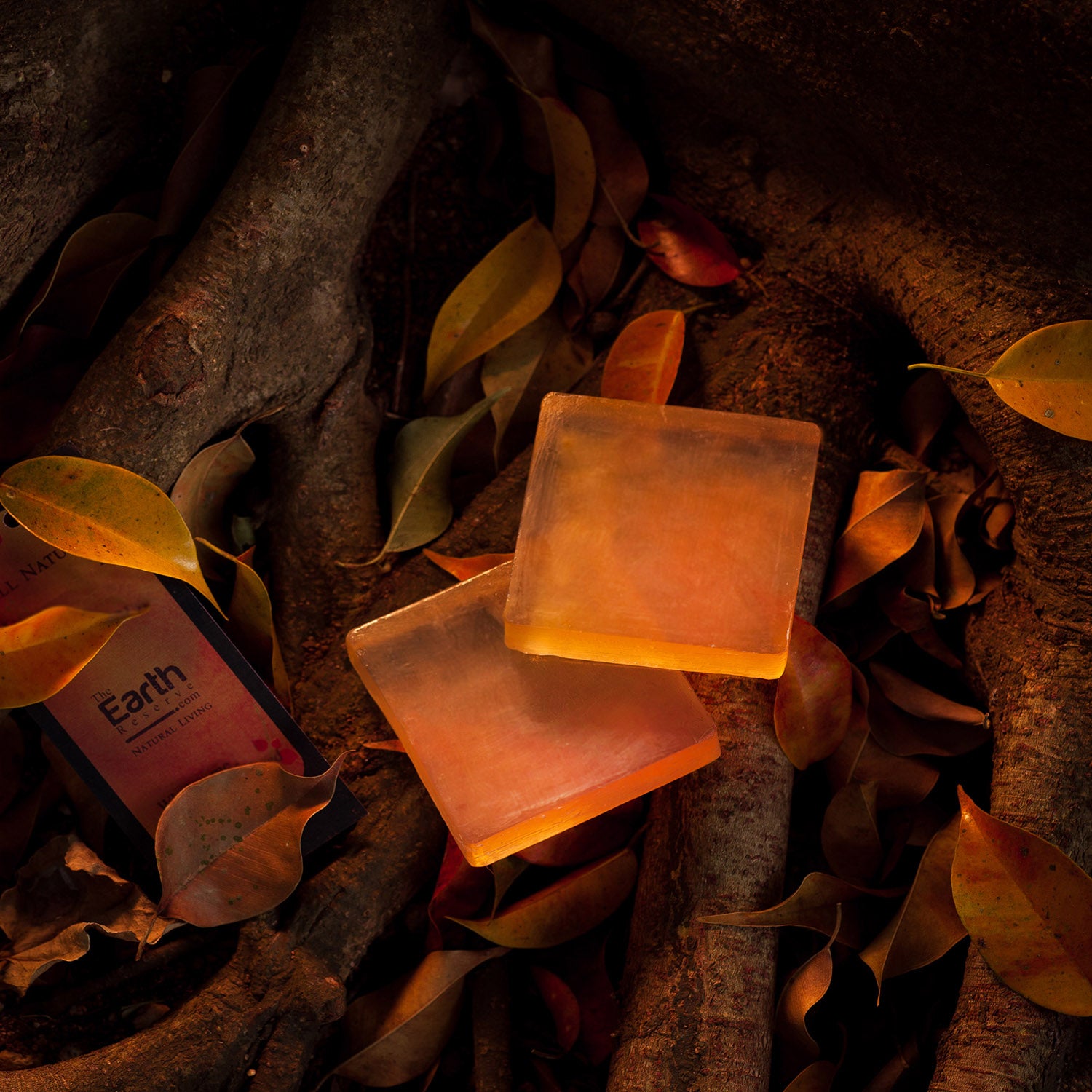 Buy Earthyblends soap