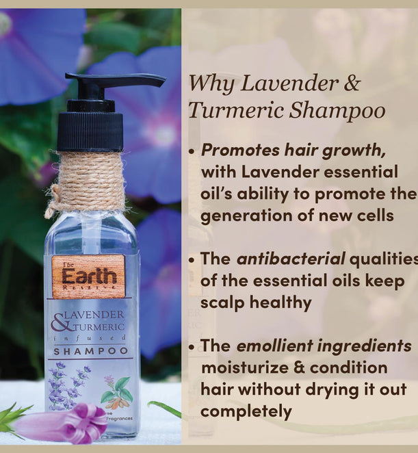  Fundamental Shampoo - 12 Oz. - Chemical Free Shampoo - SLS Free  - Natural Shampoo - Made in USA by Fundamental Earth : Beauty & Personal  Care