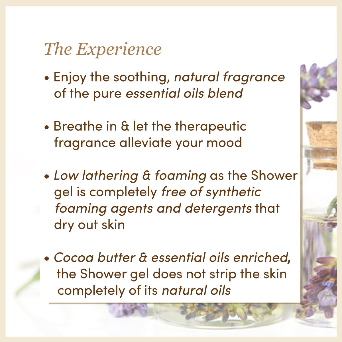 Lavender & Turmeric Shower Gel │ Cocoa Butter Enriched | Free From Harsh Chemicals