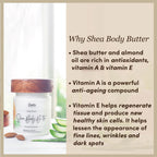Shea Body Butter | SLS & Paraben Free | Free From Harsh Chemicals