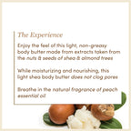 Shea Body Butter | SLS & Paraben Free | Free From Harsh Chemicals