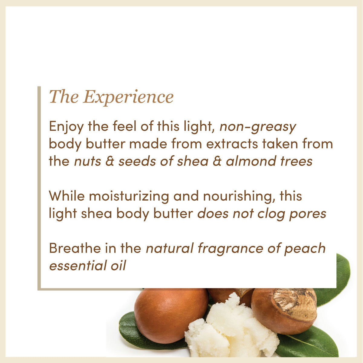 Shea Body Butter | SLS & Paraben Free | Free From Harsh Chemicals