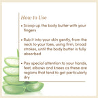 Shea Body Butter | SLS & Paraben Free | Free From Harsh Chemicals