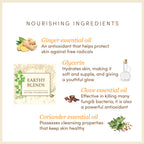 Spice Mix Earthy Blends Collection