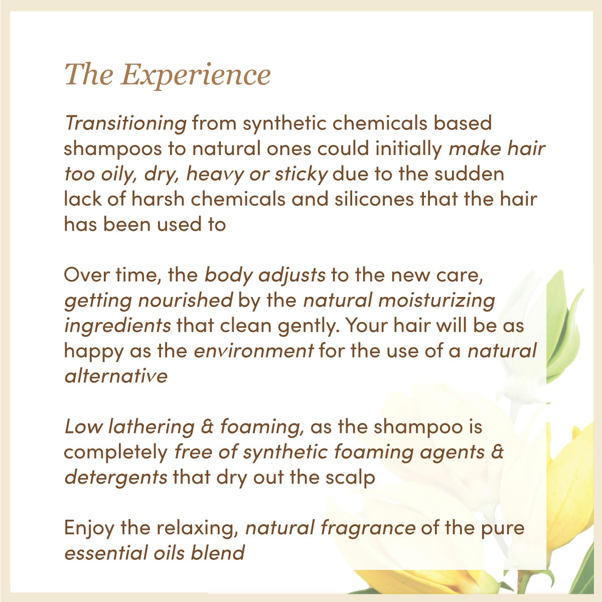 Tuberose & Ylang Ylang Shampoo │ Cocoa Butter Enriched | Free From Harsh Chemicals