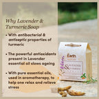 Lavender & Turmeric Collection