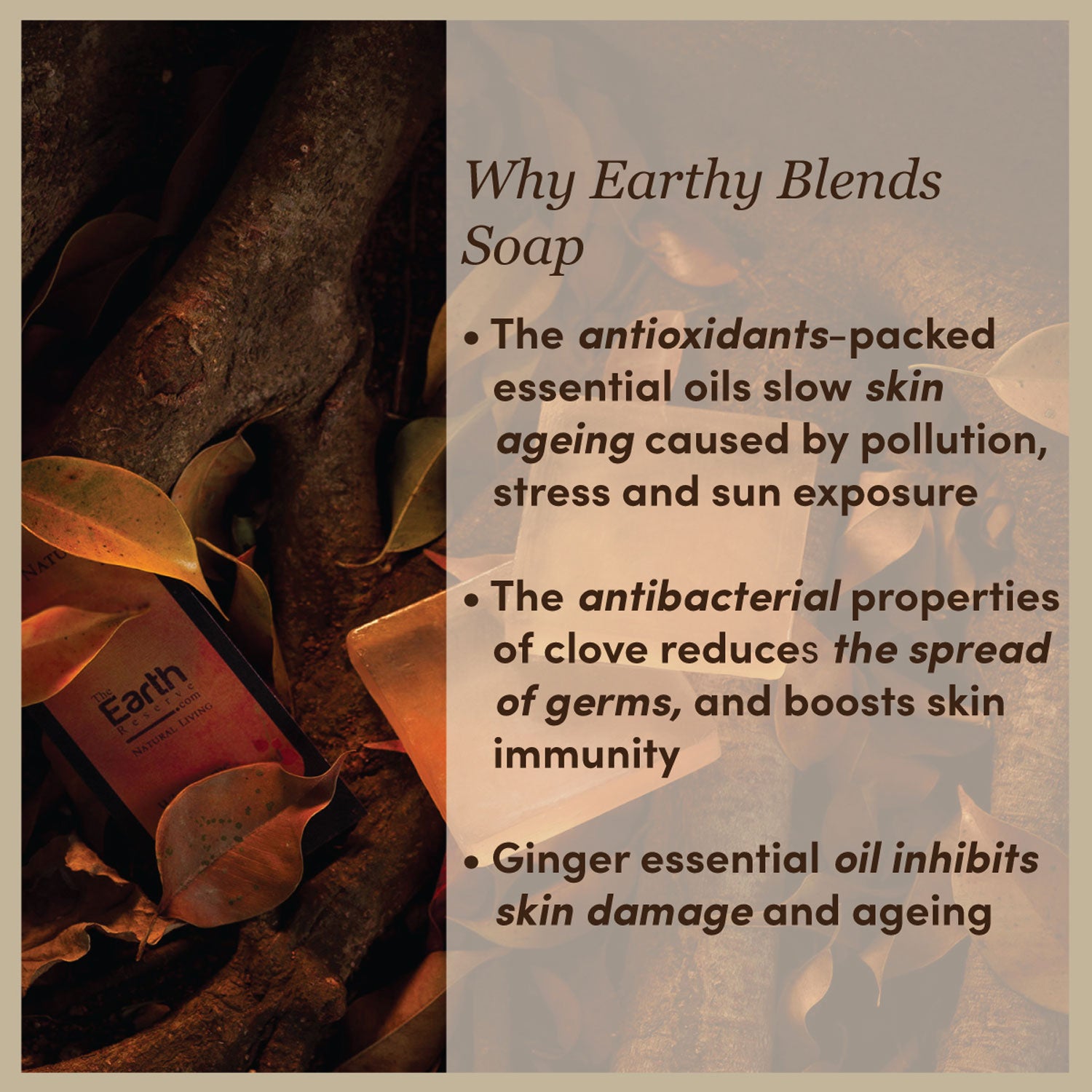 Spice Mix Earthy Blends Collection